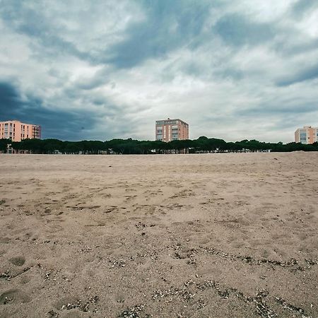 Studio Les Pieds Dans L'Eau Argeles Sur Mer Dış mekan fotoğraf
