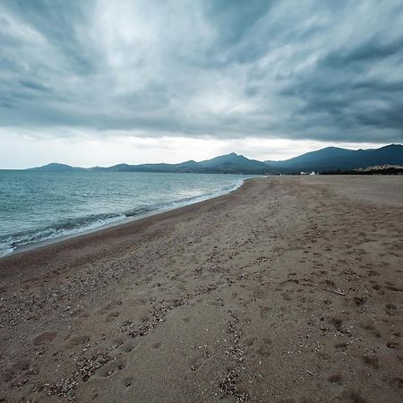 Studio Les Pieds Dans L'Eau Argeles Sur Mer Dış mekan fotoğraf