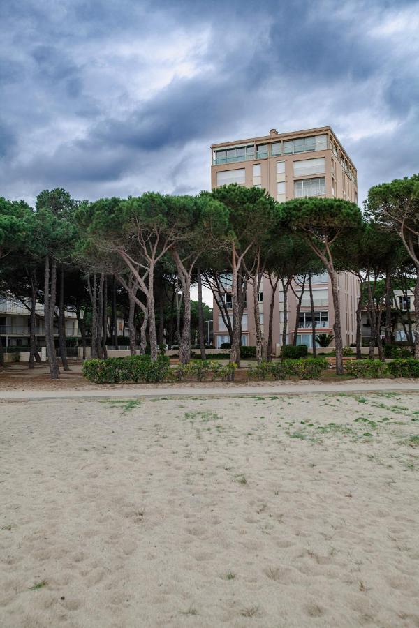 Studio Les Pieds Dans L'Eau Argeles Sur Mer Dış mekan fotoğraf
