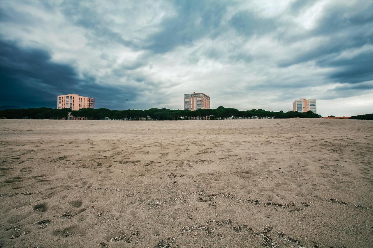 Studio Les Pieds Dans L'Eau Argeles Sur Mer Dış mekan fotoğraf