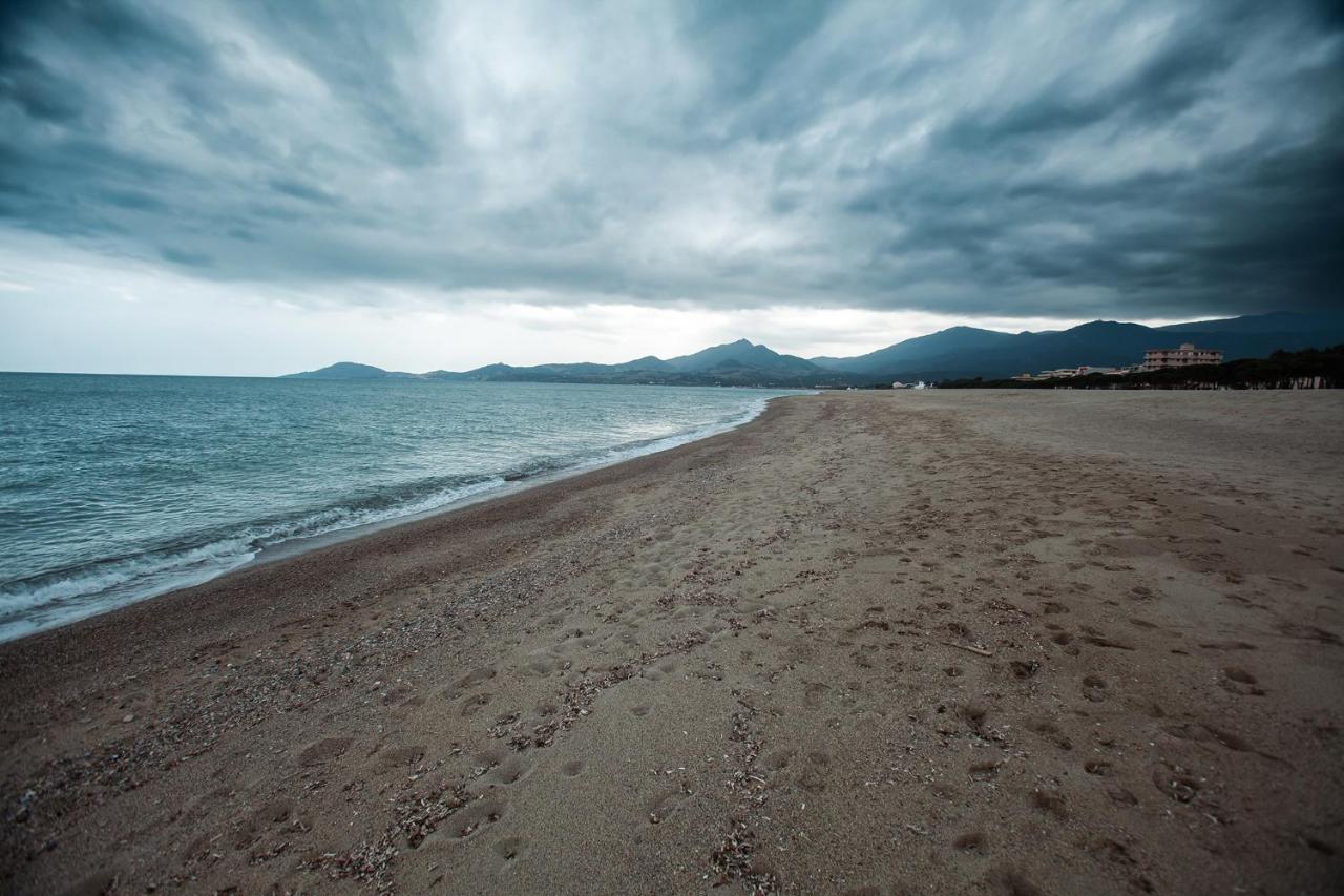 Studio Les Pieds Dans L'Eau Argeles Sur Mer Dış mekan fotoğraf