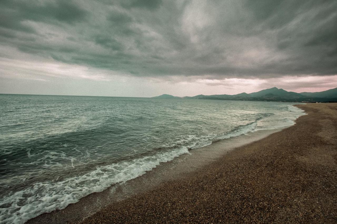 Studio Les Pieds Dans L'Eau Argeles Sur Mer Dış mekan fotoğraf