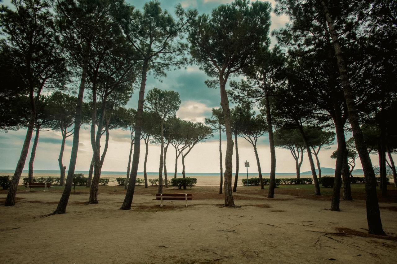 Studio Les Pieds Dans L'Eau Argeles Sur Mer Dış mekan fotoğraf